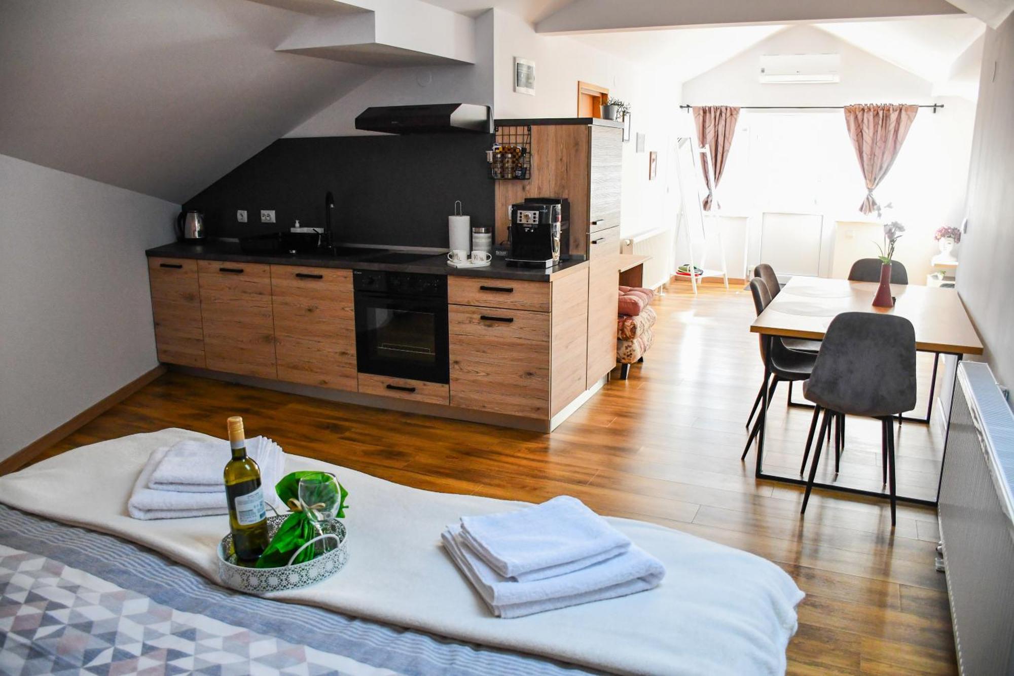 Studio Apartment Oaza Sisak Buitenkant foto